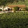 Hotel Rural Hacienda del Buen Suceso, Spanyolorsz�g, Las Palmas